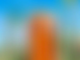 CONOCE LOS BENEFICIOS QUE TE PROPORCIONA LA MIEL DE MAGUEY