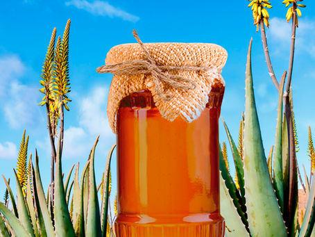 CONOCE LOS BENEFICIOS QUE TE PROPORCIONA LA MIEL DE MAGUEY