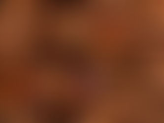 Anís estrella: la especia natural que calma, protege y reconforta