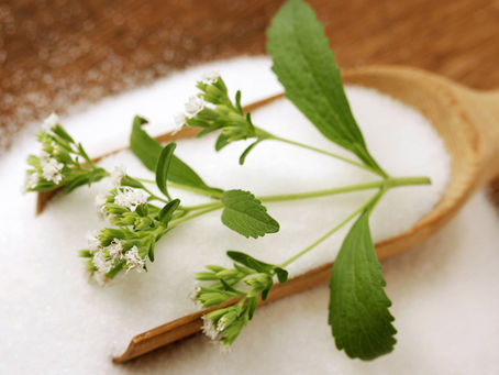 5 ENDULZANTES ALTERNATIVOS AL AZÚCAR REFINADA