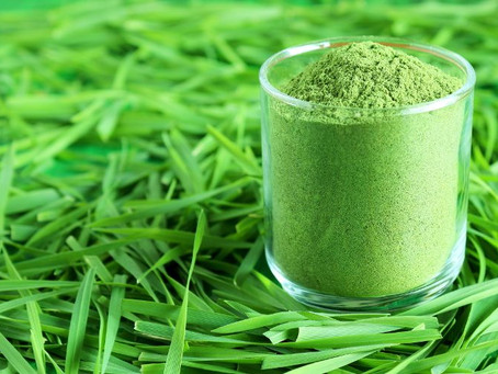 WHEATGRASS PARA BAJAR EL COLESTEROL
