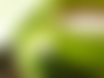 10 ASOMBROSOS BENEFICIOS DEL TÉ VERDE