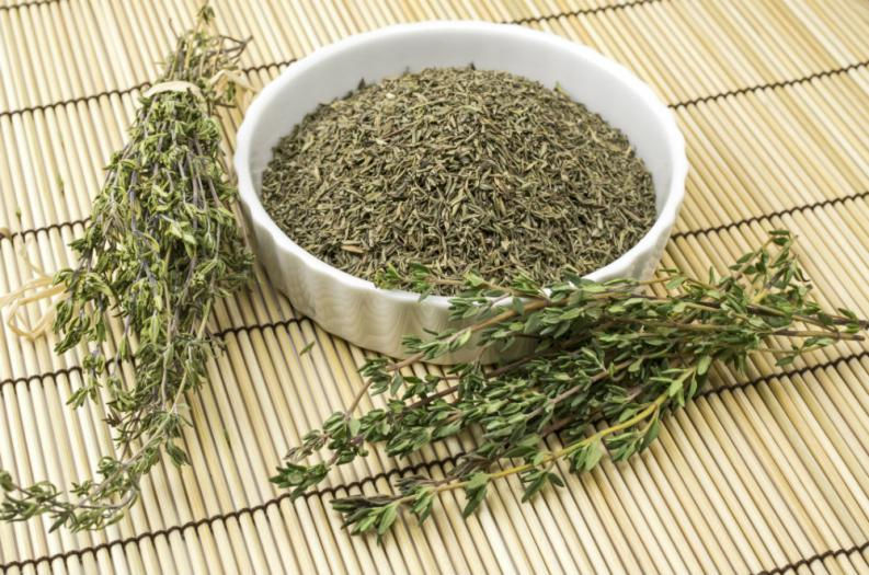 Tomillo Propiedades y Beneficios en la Salud y Belleza