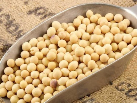 ¿POR QUÉ COMER SOYA? 7 RAZONES PARA HACERLO