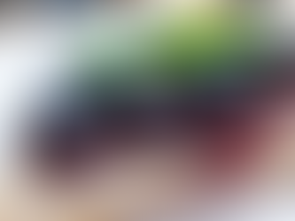 LOS BLUEBERRIES SON DELICIOSAMENTE SANOS