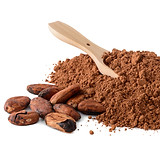 Cacao_en_polvo_orgánico.jpeg