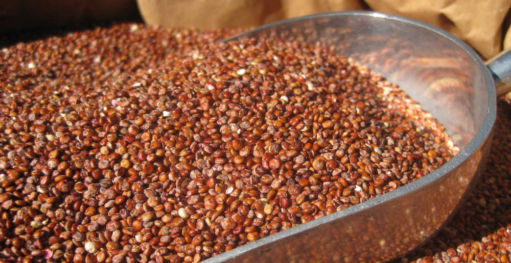 QUINOA ROJA, BENEFICIOS NUTRICIONALES