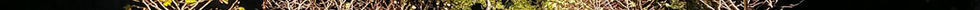 pexels-cottonbro-5771803_5.jpg