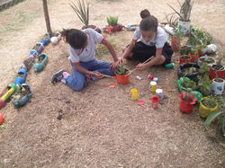 Decorando las plantas