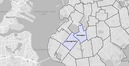 Borough-Park-Zone.jpg