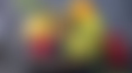 'Fruit-ing Health' By Vikas Bhargava