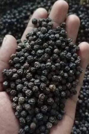Thumbnail: Ruth's MR - Telicherry Black Pepper (100 gms)