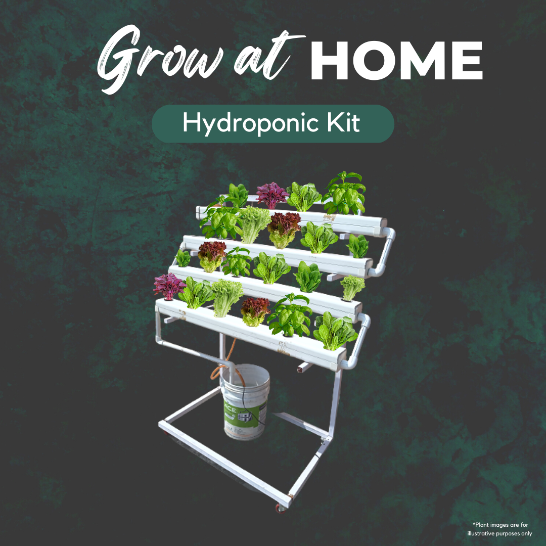 White Root Farms - Grow At Home Hydroponic Kit (10 Kg)