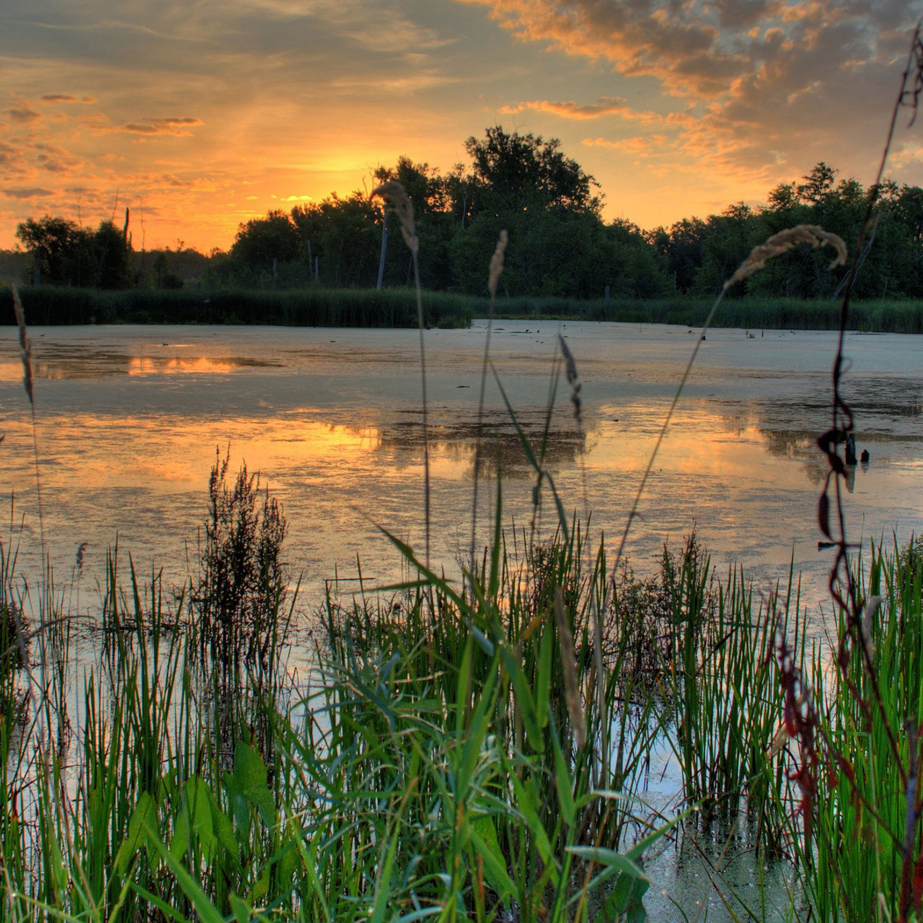 Bemidji Dream, 90 Minutes