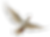 03.png