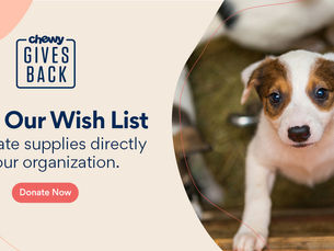 Rescue Animals with Chewy!