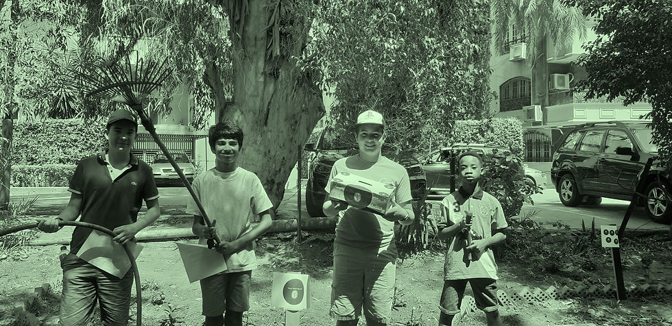 Restoring Pride of Maadi