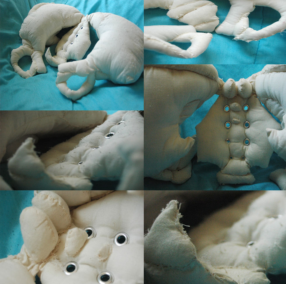 2009 Soft Sculpture Pelvis
