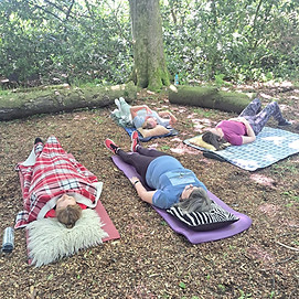 Meditation in the woodland
