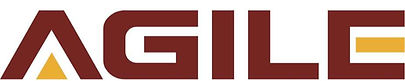 Agile Mining Services Logo_edited.jpg