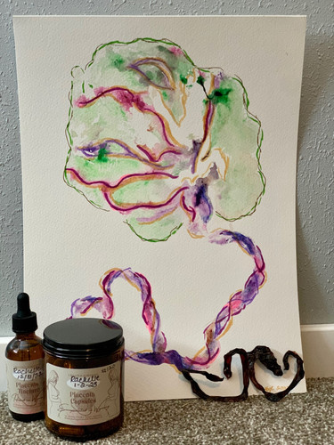 拙作「Placenta」 Deluxe Placenta Encapsulation & Keepsake Bundle | Matru