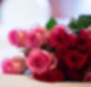 Roses_edited.jpg