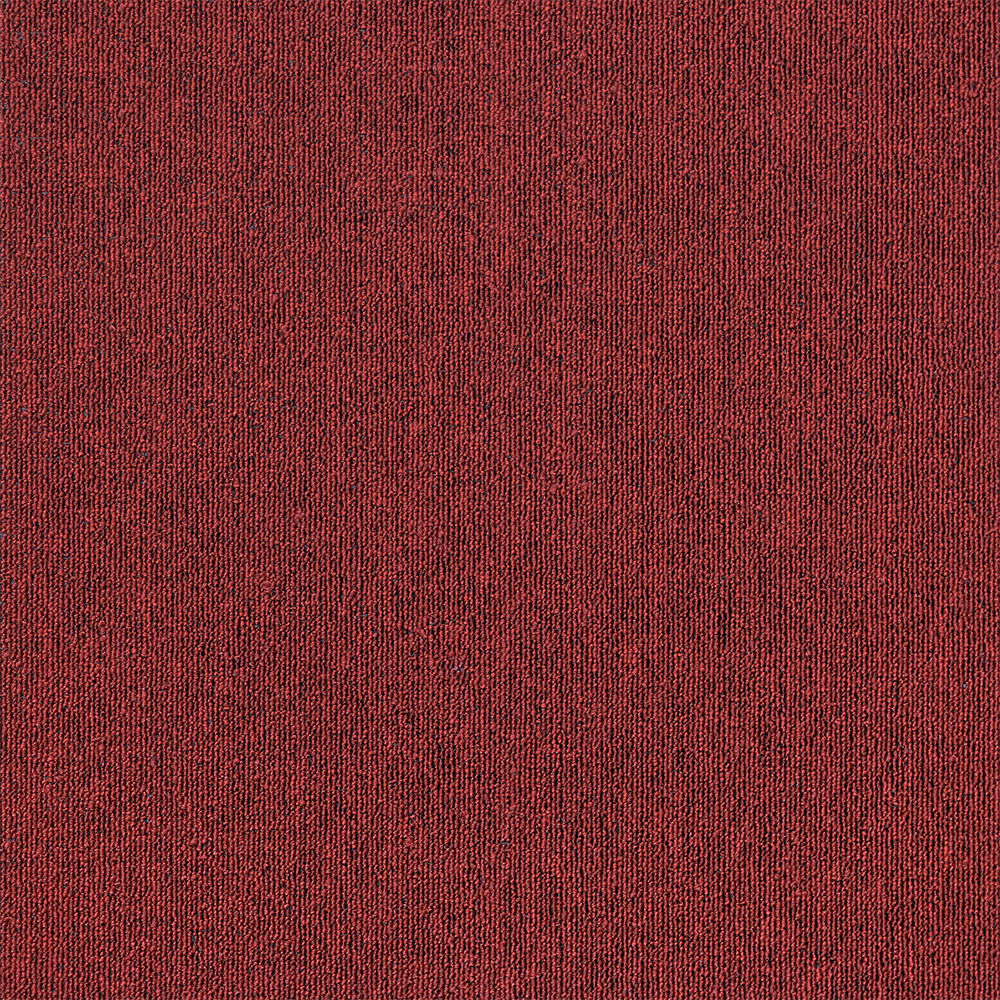 Brizo 11