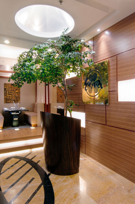 Restaurant reception area featuring warm wood-paneled walls, a large green indoor plant in a black circular planter, and a glimpse of the dining area in the background.
