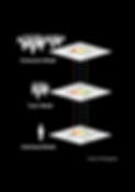 leadership alignment.png
