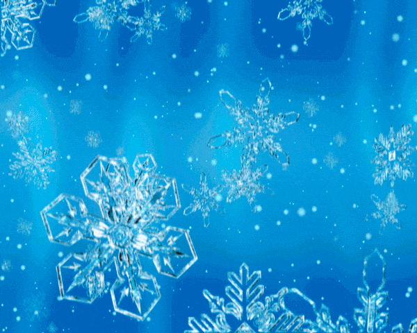 snwflks-12.gif