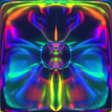 giphy (6).gif