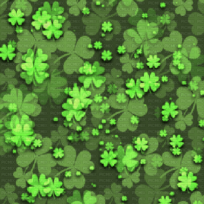 FLE H-R EXTREME THUNDER SHAMROCK GLASS PROJECTOR SCREENS