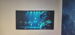 ILEG legendary limited edition black projector screen paints