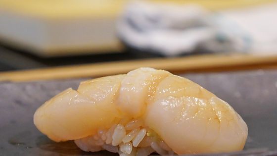 Scallop ( SU )