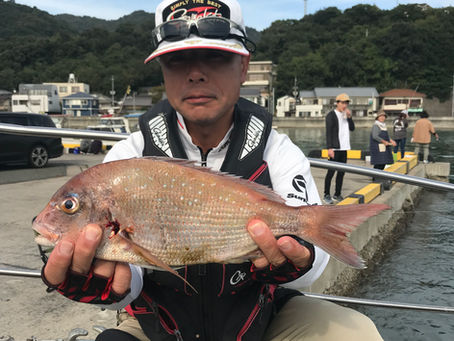 フカセ釣り