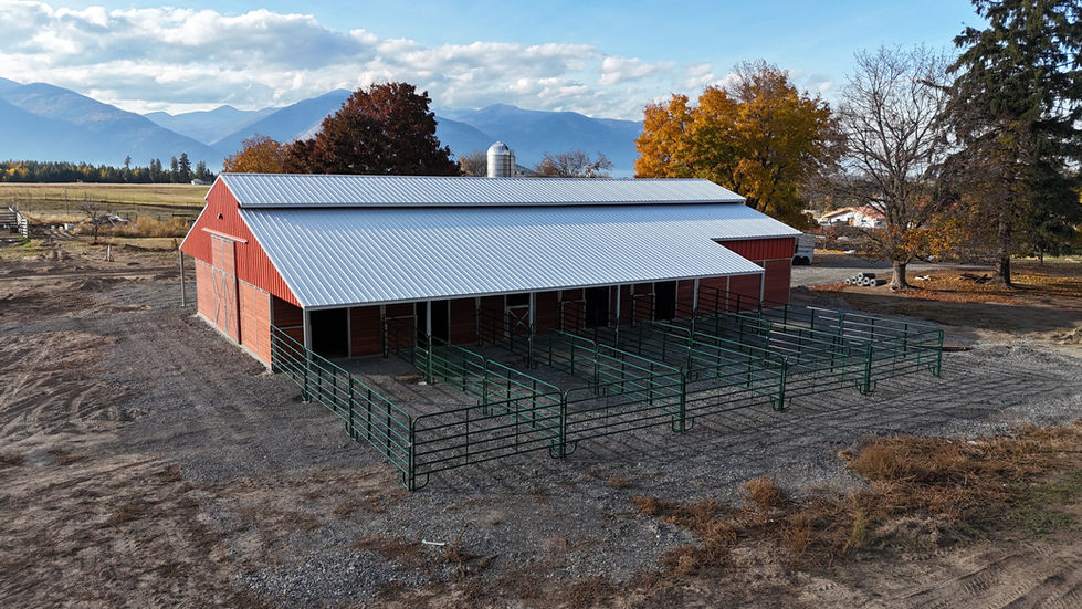 DJI_20241031060928_0021_D