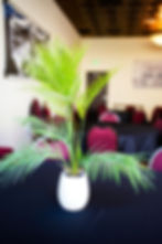 Belvada Hotel amenity-filled corporate and event space