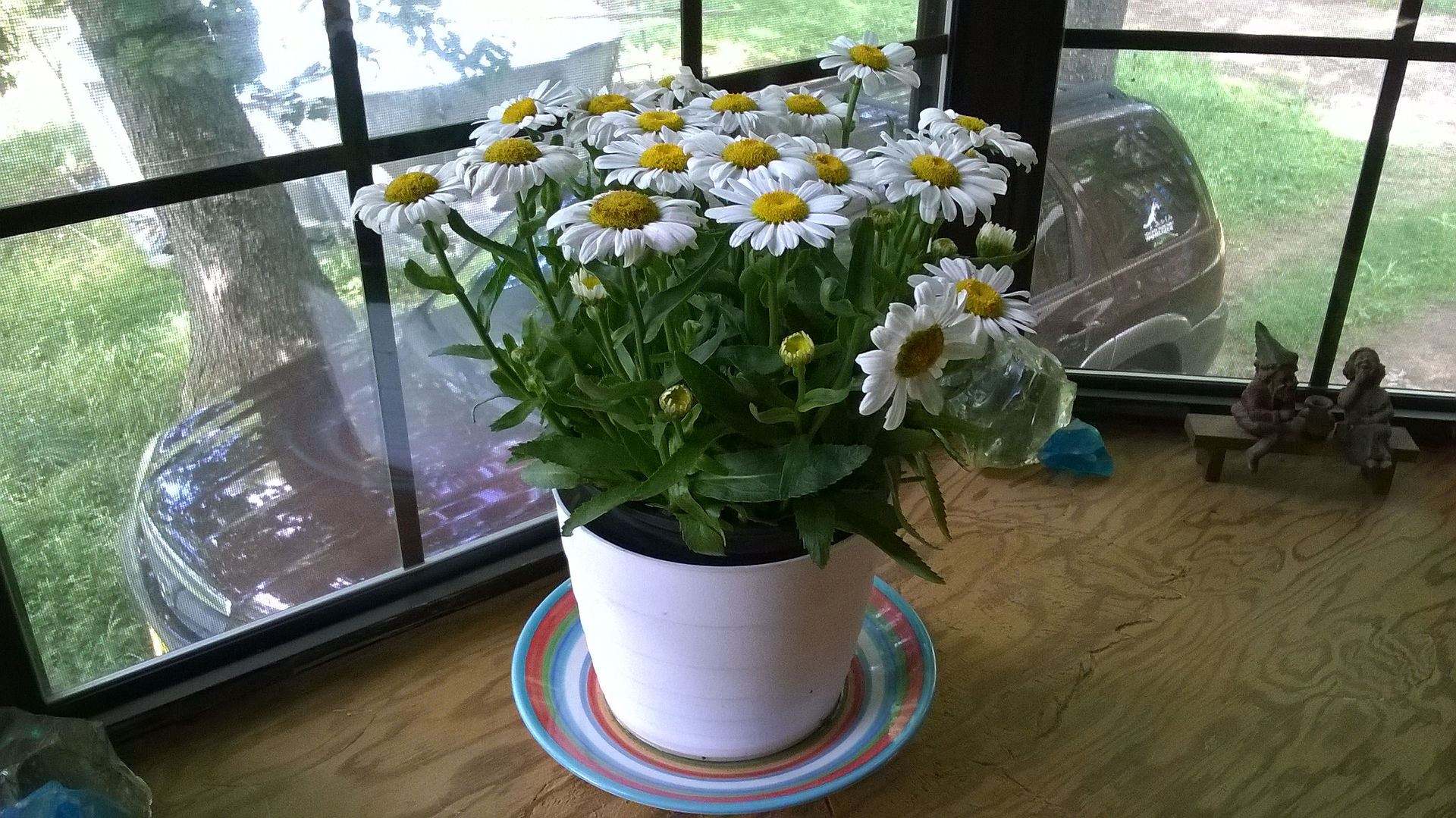 WP_20170619_019