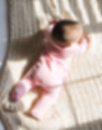IMG-0356cr