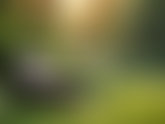 Navigating the Sandwich Generation: Self-Care Tips for Balancing Care for Parents and Children