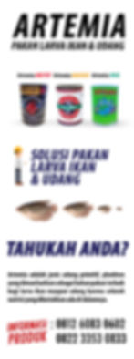 jual Artemia
