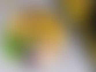 Meine Top 10 veganen Proteinquellen für sportliche Leistung und im Alltag  