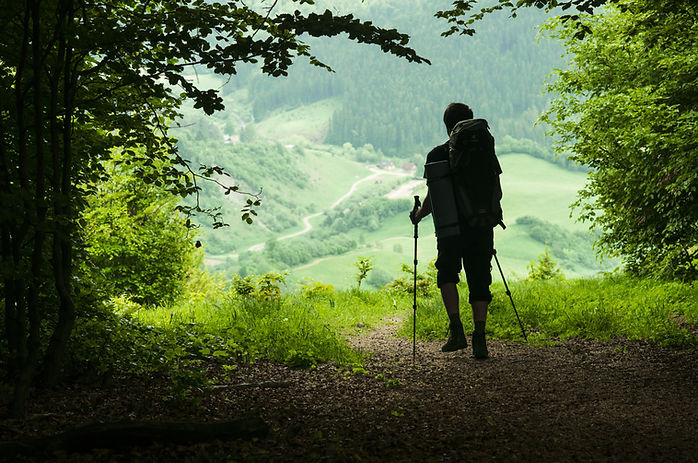 A man walking in a forest
