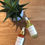 Miniaturbild: Neven Body Care ab