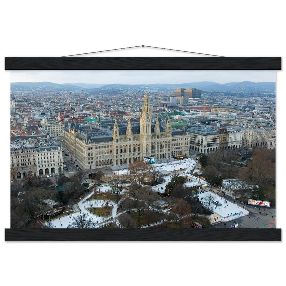 Thumbnail: Vienna Rathaus Horizontal Poster with Hanger