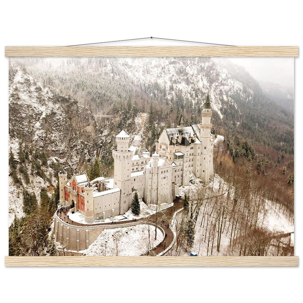 Neuschwanstein Castle Horizontal Poster with Hanger