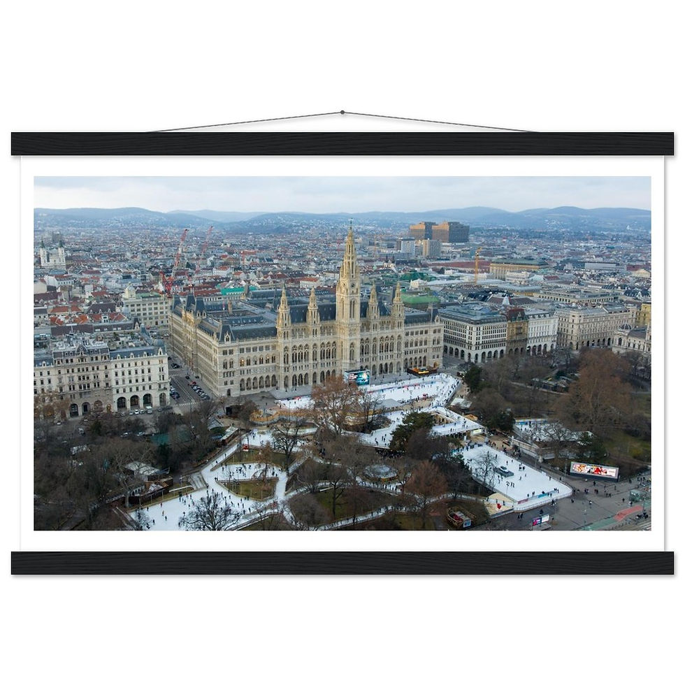 Thumbnail: Vienna Rathaus Horizontal Poster with Hanger