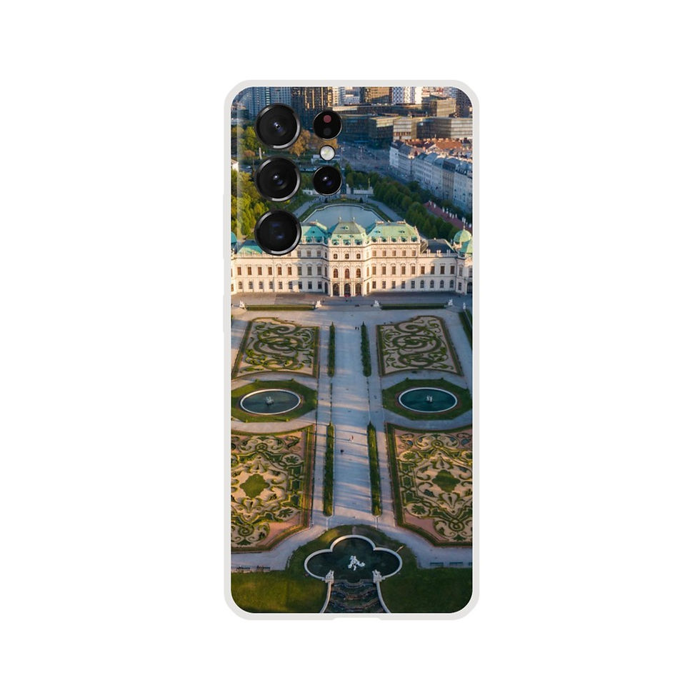 Thumbnail: Belvedere Palace Samsung Flexi Mobile Case