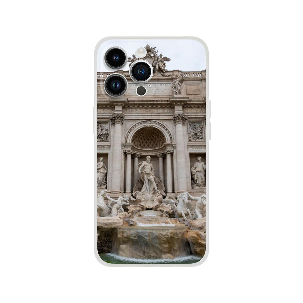 Trevi Fountain iPhone Flexi case