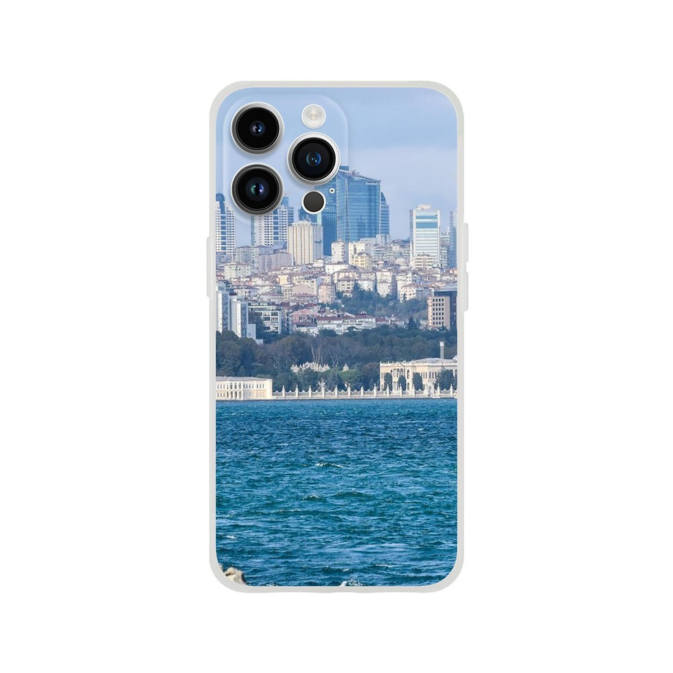 Istanbul iPhone Flexi case